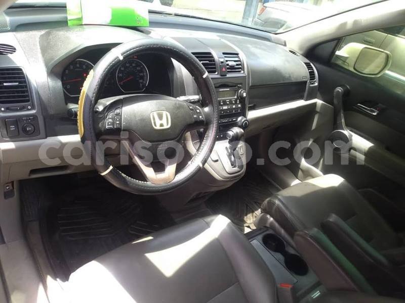 Big with watermark 56167978 888336658174787 8150952813673840640 n