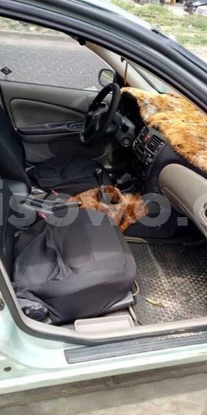 Big with watermark 57083790 149195519461360 8040905173045870592 n