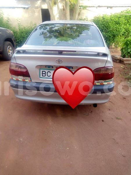 Big with watermark 57180169 149319566115622 3409921346866511872 n