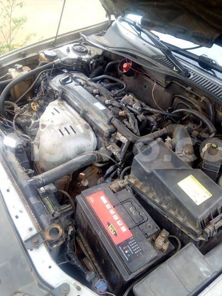 Big with watermark 56910235 149319516115627 4704173698150563840 n