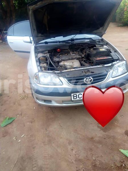 Big with watermark 57441696 149319482782297 8197338503420313600 n