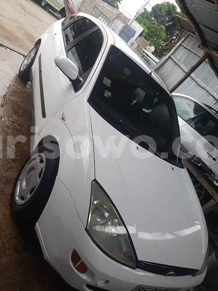 Big with watermark 57015552 148028516244727 3407219043638181888 n