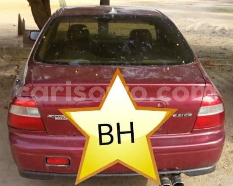 Big with watermark 56604944 129407024790618 3176120502846488576 n