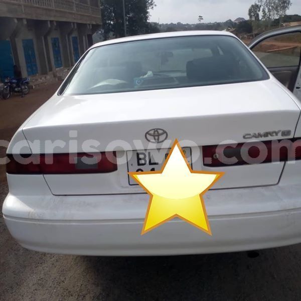 Big with watermark 56887096 129109131487074 3239250968704974848 n