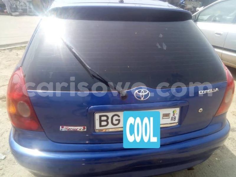 Big with watermark 56408544 128868028177851 7150506921567453184 n