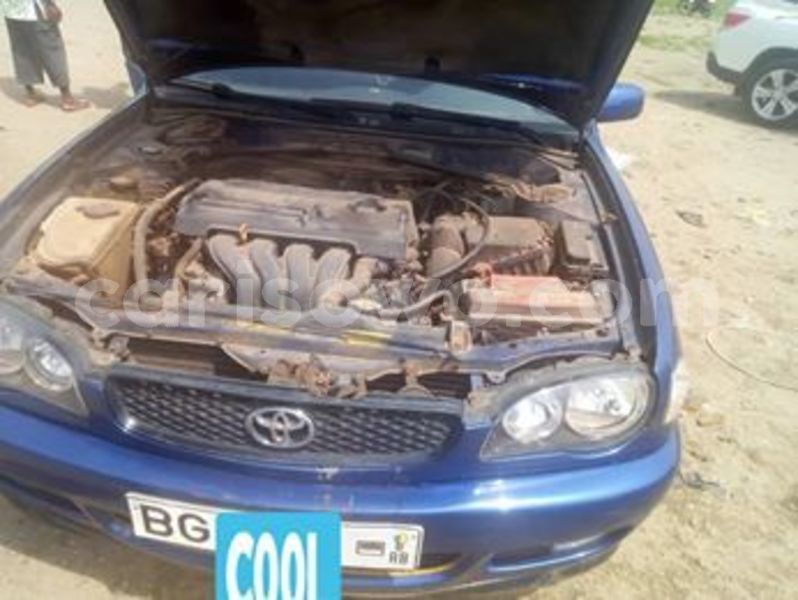 Big with watermark 56691286 128867974844523 2438724143391178752 n