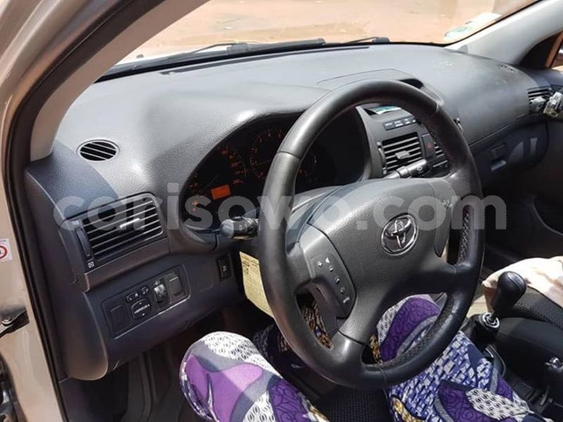 Big with watermark 55795170 127375578327096 3577671456504414208 n