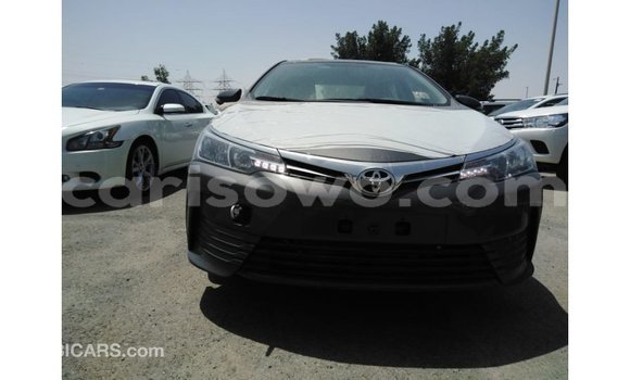 Buy Import Toyota Corolla Other Car in Import - Dubai in Benign Buy Import Toyota Corolla Other Car in Import - Dubai in Benign