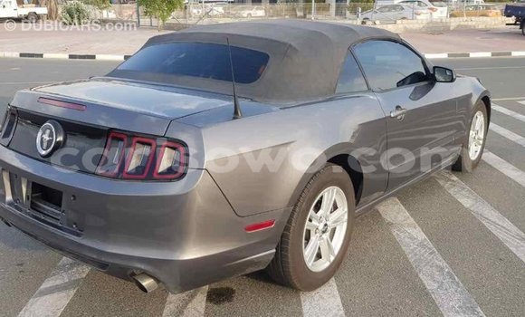 Acheter Import Voiture Ford Mustang Autre à Import - Dubai, Benin Acheter Import Voiture Ford Mustang Autre à Import - Dubai, Benin