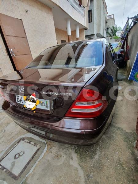 Big with watermark 61200351 924081904600262 6229946618007781376 n