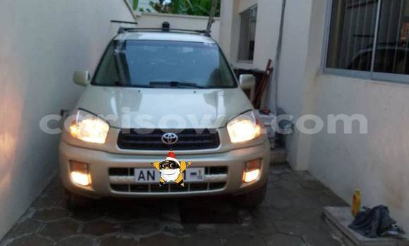 Buy Used Toyota RAV4 Beige Car in Cotonou in Benign Buy Used Toyota RAV4 Beige Car in Cotonou in Benign
