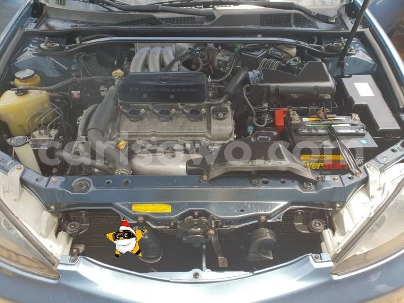 Big with watermark 61146092 925444441130675 5992832730704904192 n