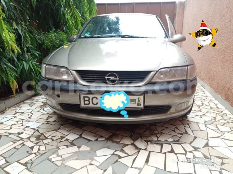 Big with watermark 61489583 923207254687727 1196123171888037888 n