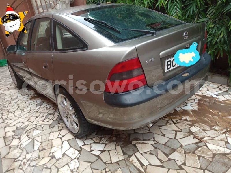 Big with watermark 61328389 923207521354367 2712208058569719808 n