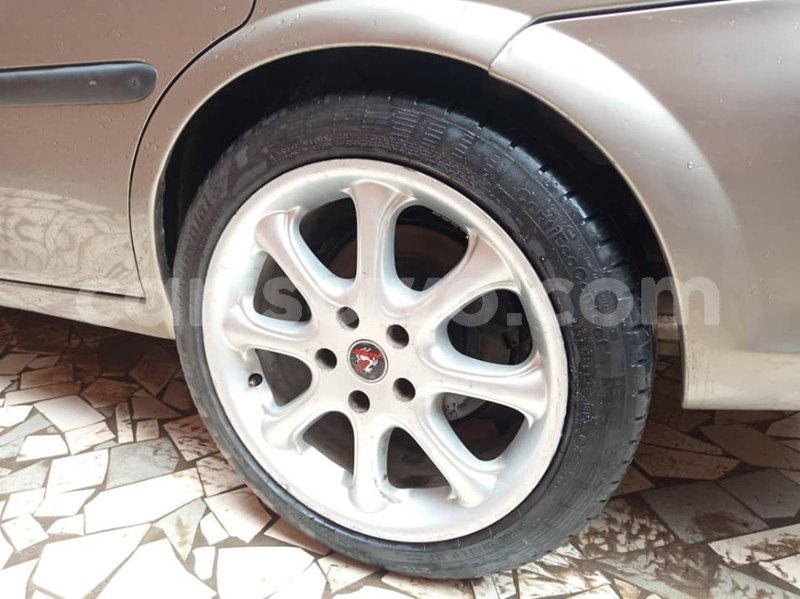 Big with watermark 60920404 923207414687711 4889967558104449024 n