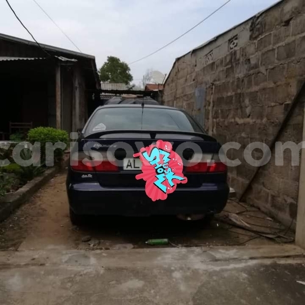 Big with watermark 61762393 931159767225809 8435081418748461056 n 1559767404288