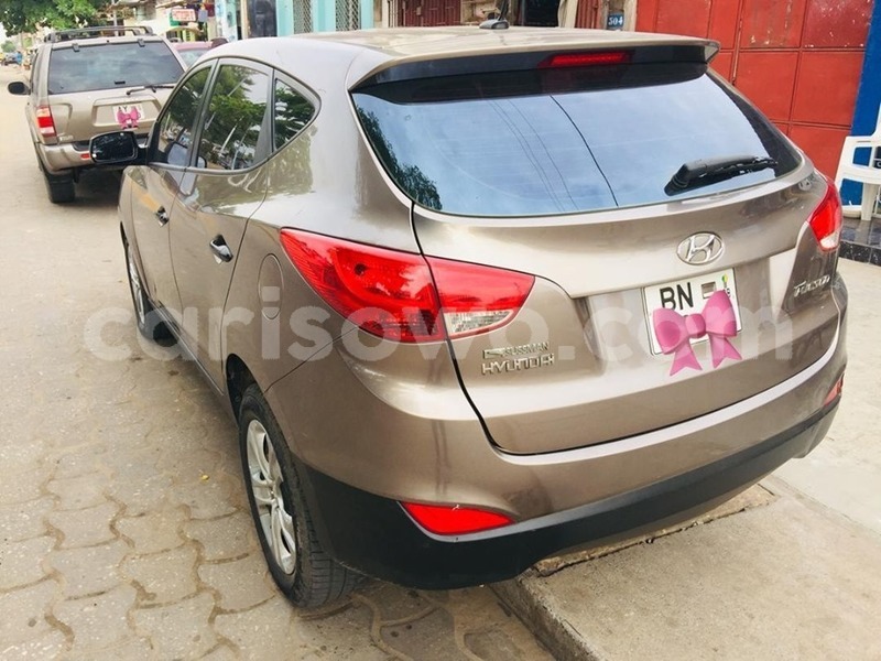 Big with watermark 61936463 931985467143239 4695280865284980736 n