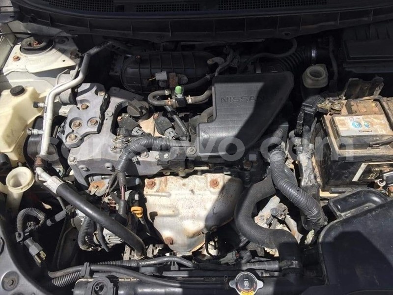 Big with watermark 62372233 931930220482097 909568185169084416 n