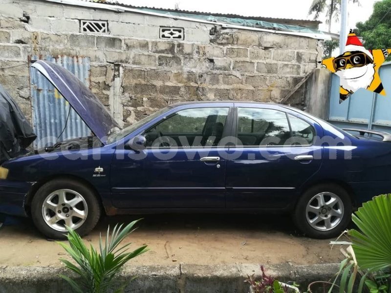 Big with watermark 61840738 931159720559147 8636340764445507584 n