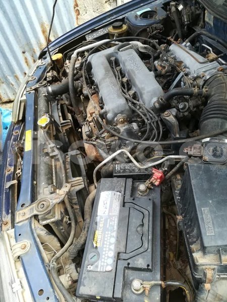 Big with watermark 62242672 931160020559117 5417603001927860224 n