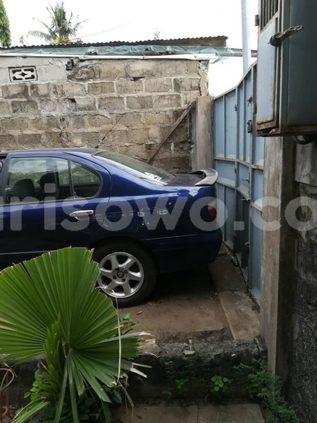 Big with watermark 61801310 931159963892456 7898000461372850176 n