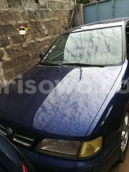 Big with watermark 61775444 931159827225803 7893840686762426368 n