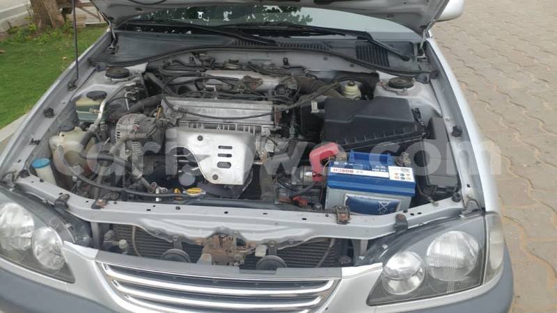 Big with watermark 61767874 931073783901074 2160498966569943040 o