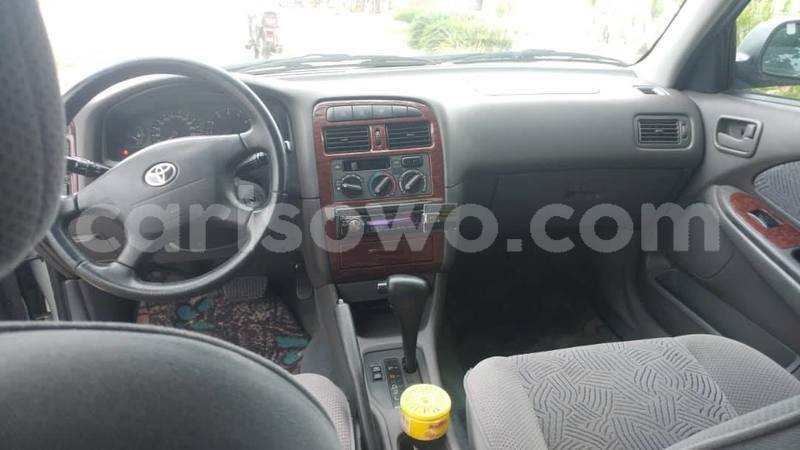 Big with watermark 61902447 931073573901095 6344064255544786944 o