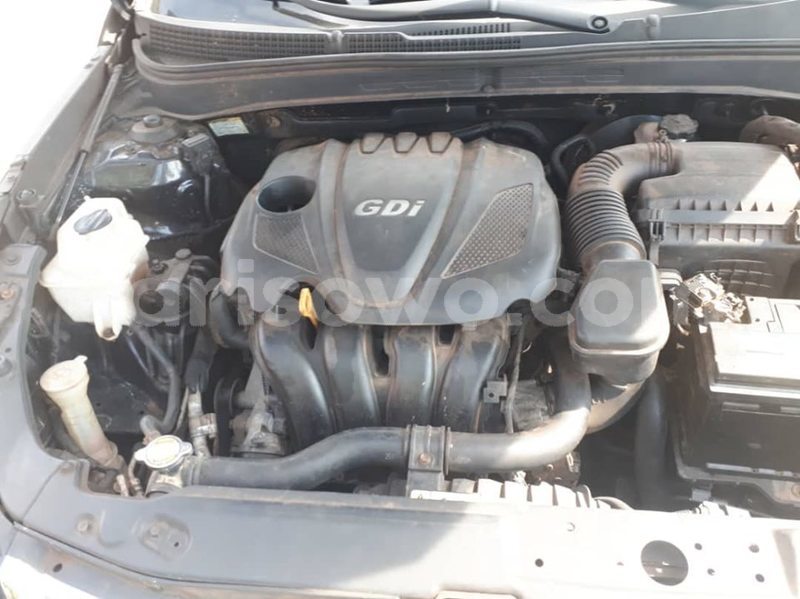 Big with watermark 61888487 930588667282919 2731978536062550016 n