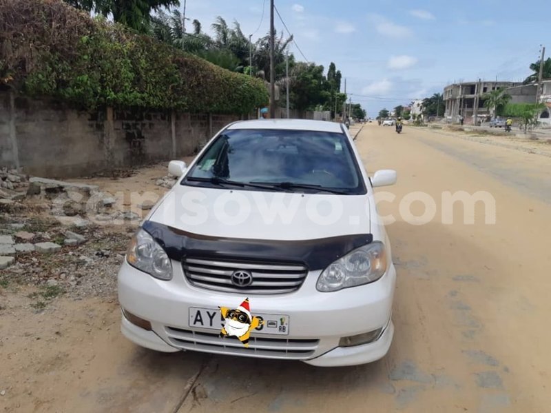 Big with watermark 61543494 928398044168648 2242036700186411008 n