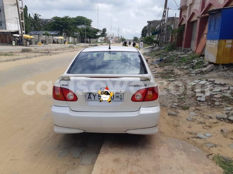 Big with watermark 61474450 928398090835310 3537561405467131904 n