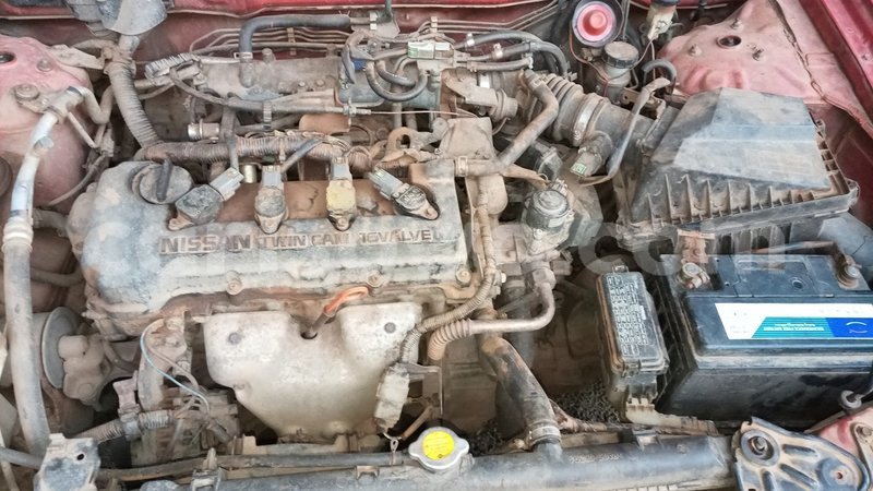 Big with watermark 61453497 926258071049312 8910522680529125376 o