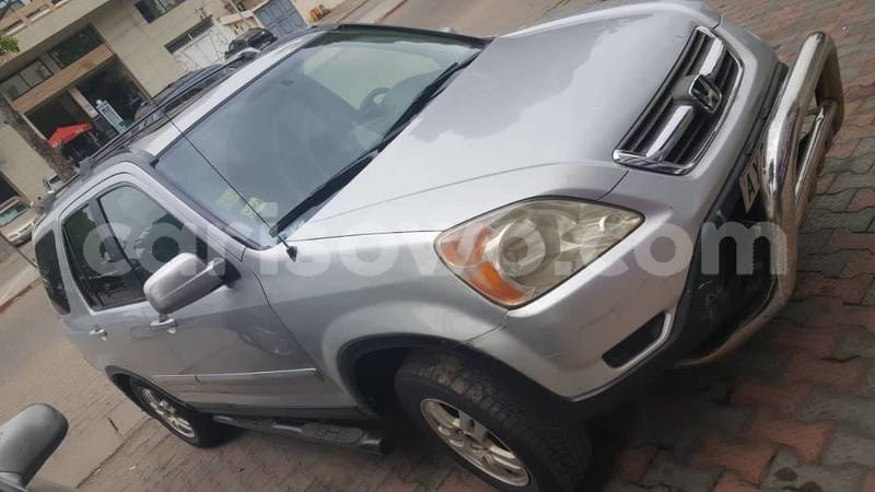 Big with watermark 61466030 926012571073862 3438156908547014656 o