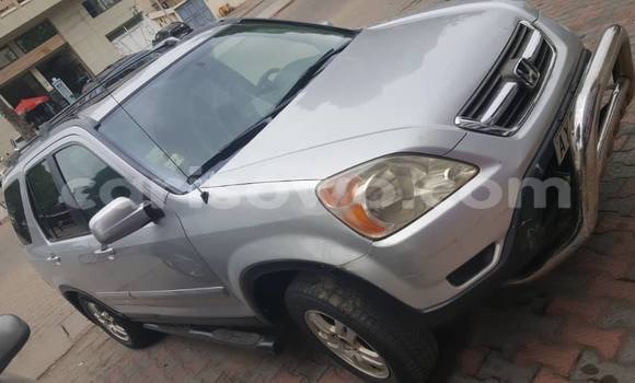Buy Used Honda CR–V Silver Car in Cotonou in Benign Buy Used Honda CR–V Silver Car in Cotonou in Benign