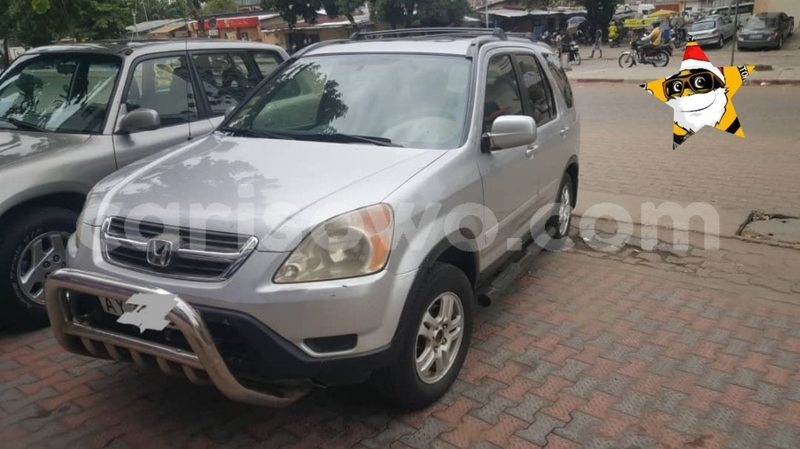 Big with watermark 61437894 926012407740545 4540299938231222272 o