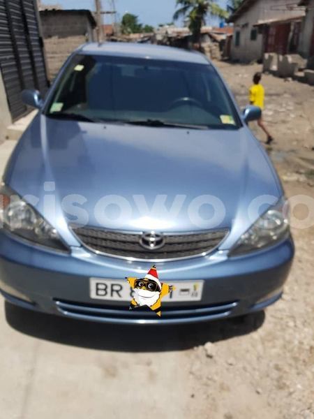 Big with watermark 61292223 925444217797364 8146607865843417088 n