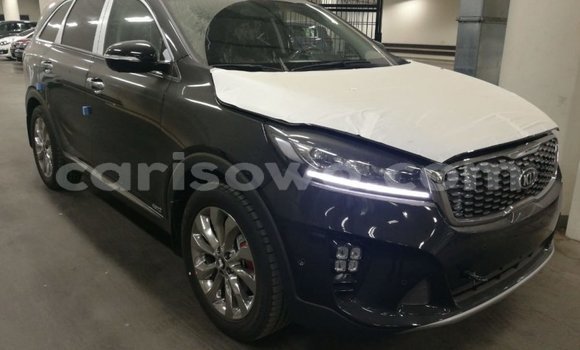 Buy Import Kia Sorento Brown Car in Import - Dubai in Benign Buy Import Kia Sorento Brown Car in Import - Dubai in Benign