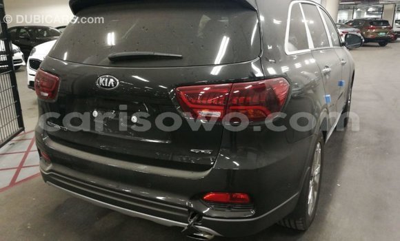 Buy Import Kia Sorento Brown Car in Import - Dubai in Benign Buy Import Kia Sorento Brown Car in Import - Dubai in Benign