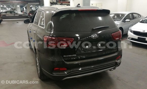 Buy Import Kia Sorento Brown Car in Import - Dubai in Benign Buy Import Kia Sorento Brown Car in Import - Dubai in Benign