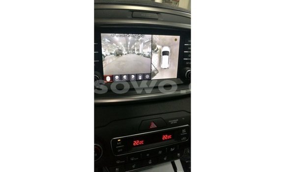 Buy Import Kia Sorento Brown Car in Import - Dubai in Benign Buy Import Kia Sorento Brown Car in Import - Dubai in Benign