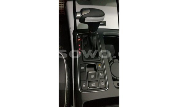 Buy Import Kia Sorento Brown Car in Import - Dubai in Benign Buy Import Kia Sorento Brown Car in Import - Dubai in Benign