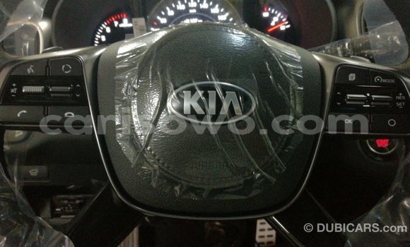 Buy Import Kia Sorento Brown Car in Import - Dubai in Benign Buy Import Kia Sorento Brown Car in Import - Dubai in Benign