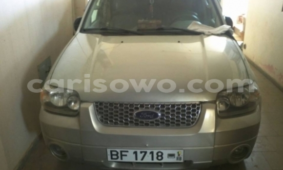 Sayi Na hannu Ford Escape Black Mota in Cotonou a Benin