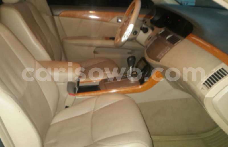 Big with watermark timthumb 13 