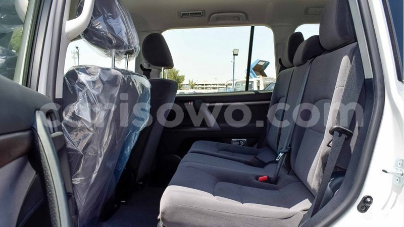 Big with watermark 8