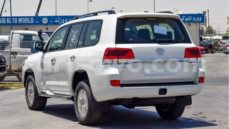 Big with watermark 13