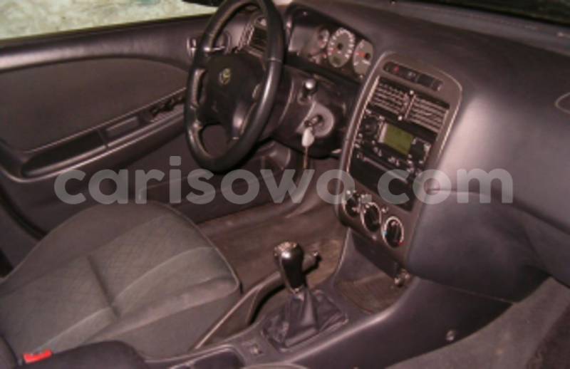 Big with watermark timthumb 19 