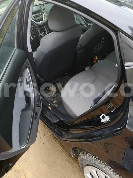 Big with watermark 65851003 953333198341799 8249306263377149952 n