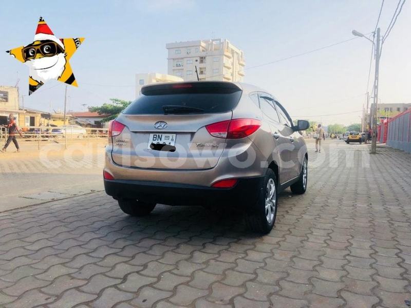 Big with watermark 65711722 636786800174310 141808923781890048 n