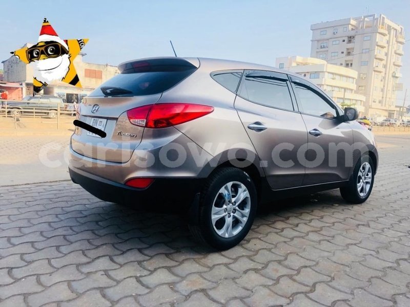 Big with watermark 66201659 636786636840993 1429169093801410560 n